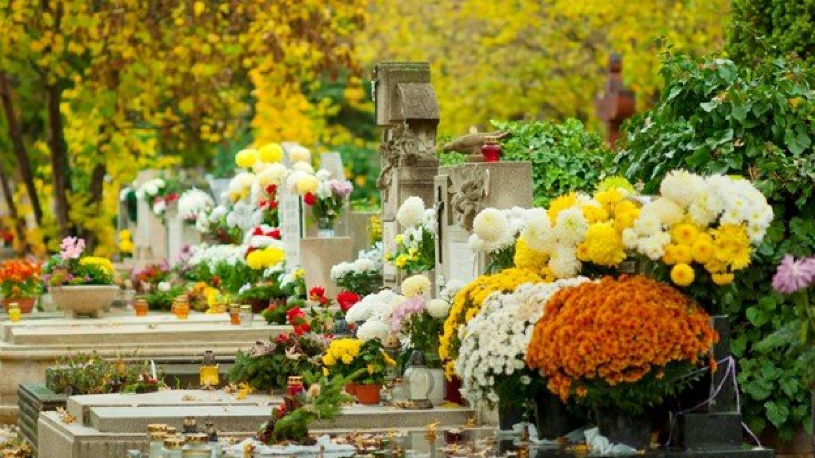 Autumn cemetery adorned with vibrant flowers